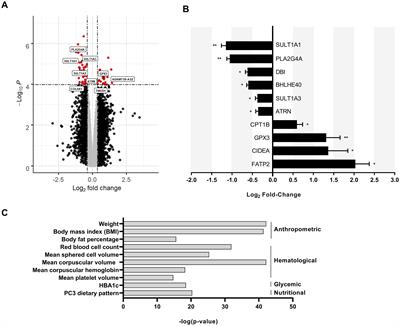 Loss of Sult1a1 reduces body weight and increases browning of white adipose tissue